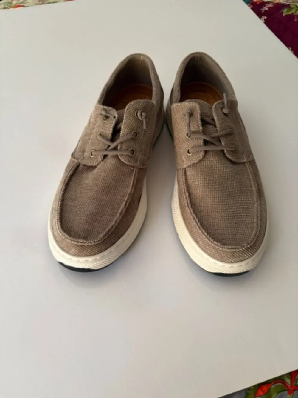 NWT Steve Madden Norphius shoe